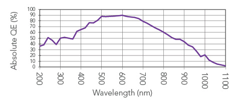 Absolute Quantum Efficiency