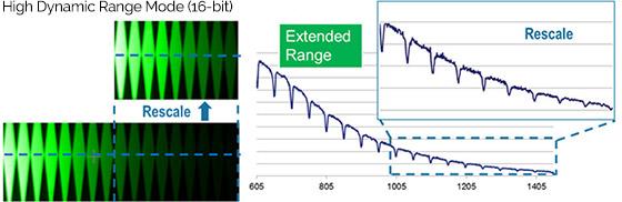 dynamic range phys science