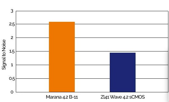 marana vs zl41